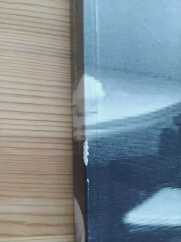 Reasons for Knocking at an Empty House - Bill Viola, knyga 3