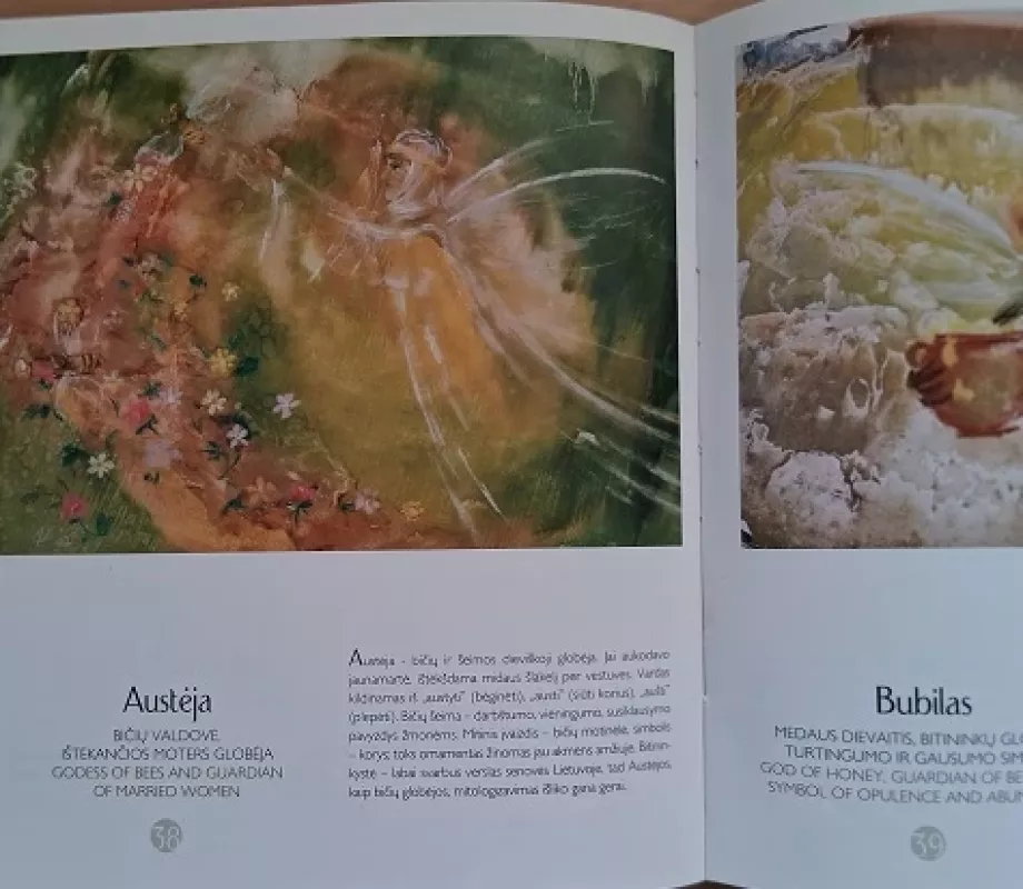 Senovės lietuvių Deivės ir Dievai. Mitologinės būtybės - Stasys Kavaliauskas, knyga 3