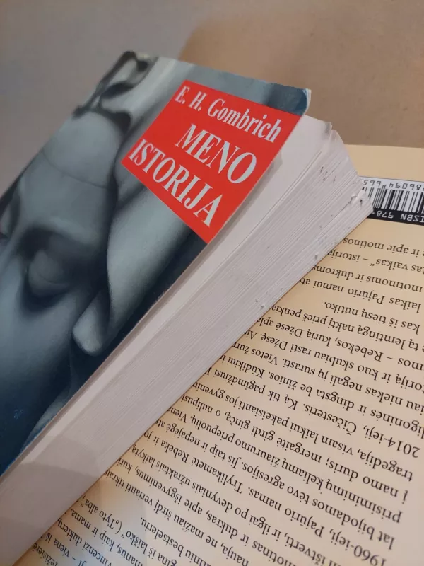 Meno istorija - Ernst H. Gombrich, knyga 4