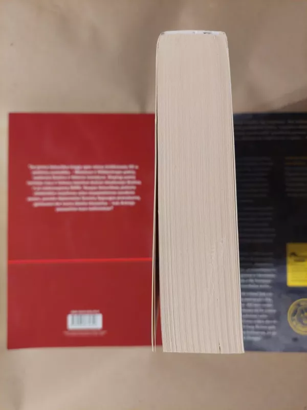 MYLĖK LIGĄ SAVO - Valerij Sinelnikov, knyga 3