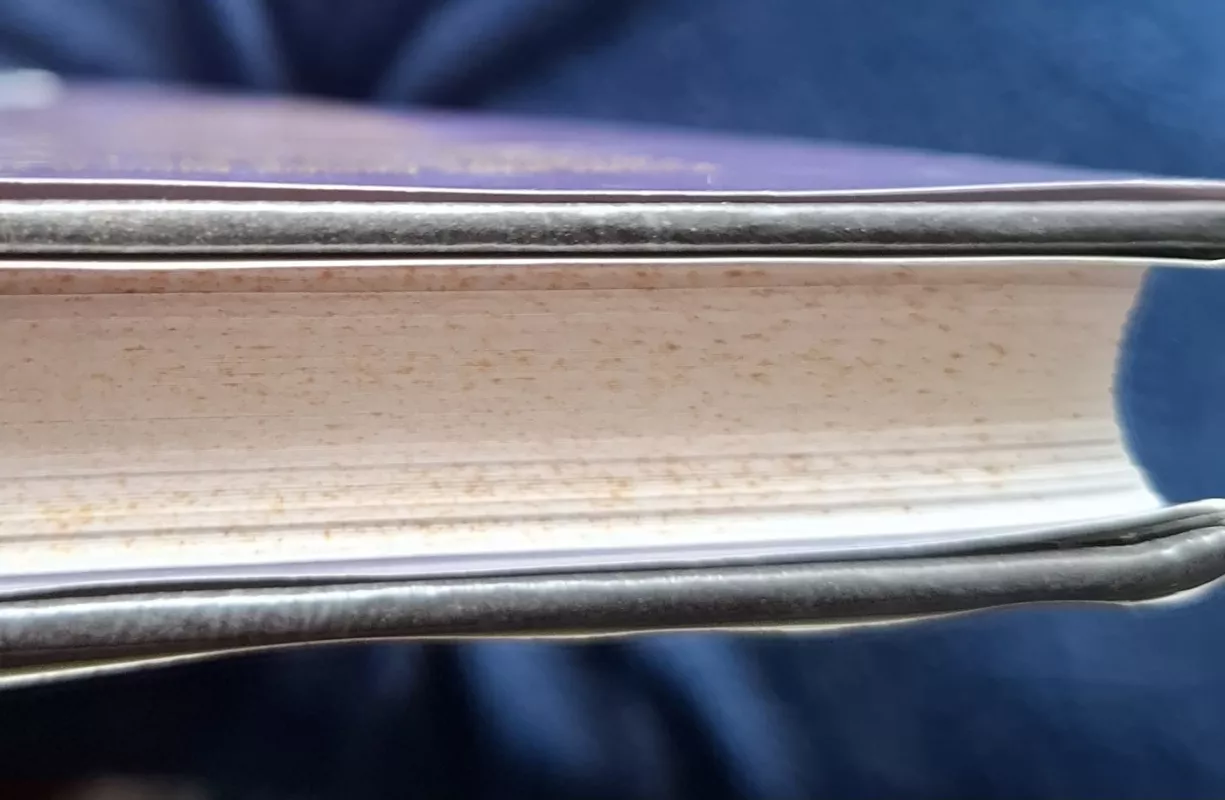 Individas viduramžių Europoje - Aaron Gurevič, knyga 4