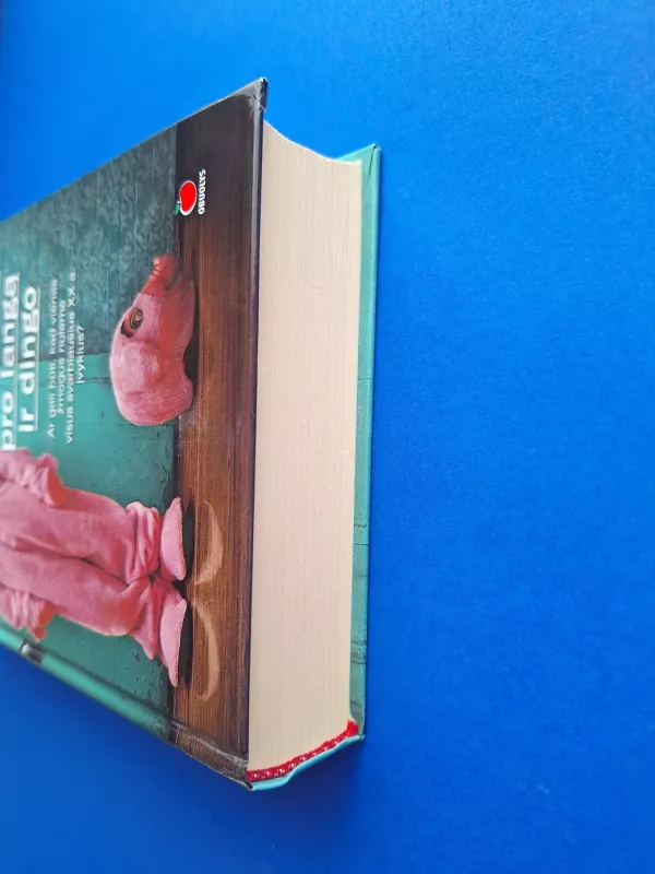 Šimtametis, kuris išlipo pro langą ir dingo - Jonas Jonasson, knyga 5