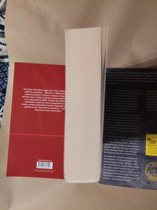 MYLĖK LIGĄ SAVO - Valerij Sinelnikov, knyga 4