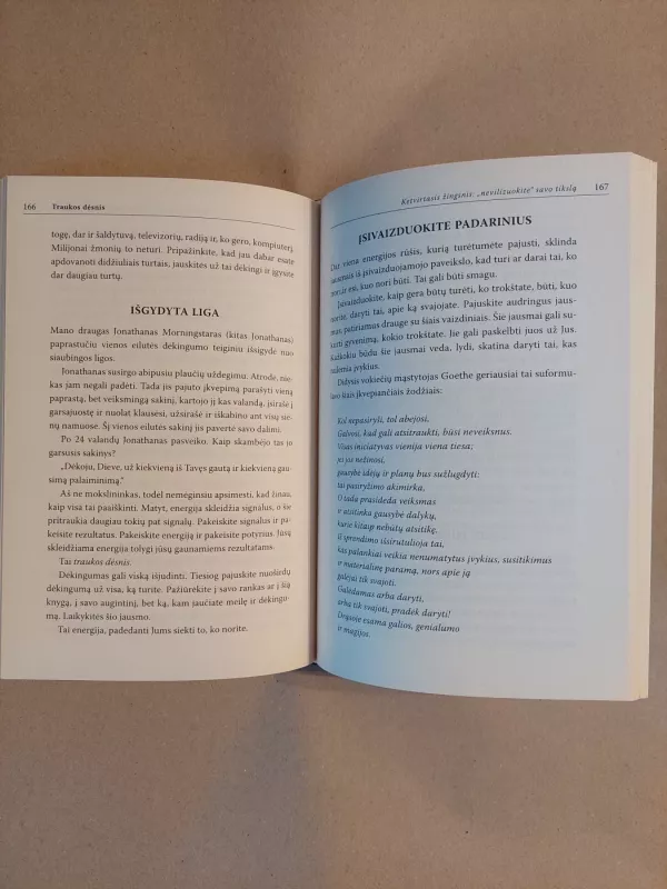 Traukos dėsnis. 5 paprasti žingsniai į norų ir svajonių išsipildymą - Joe Vitale, knyga 5