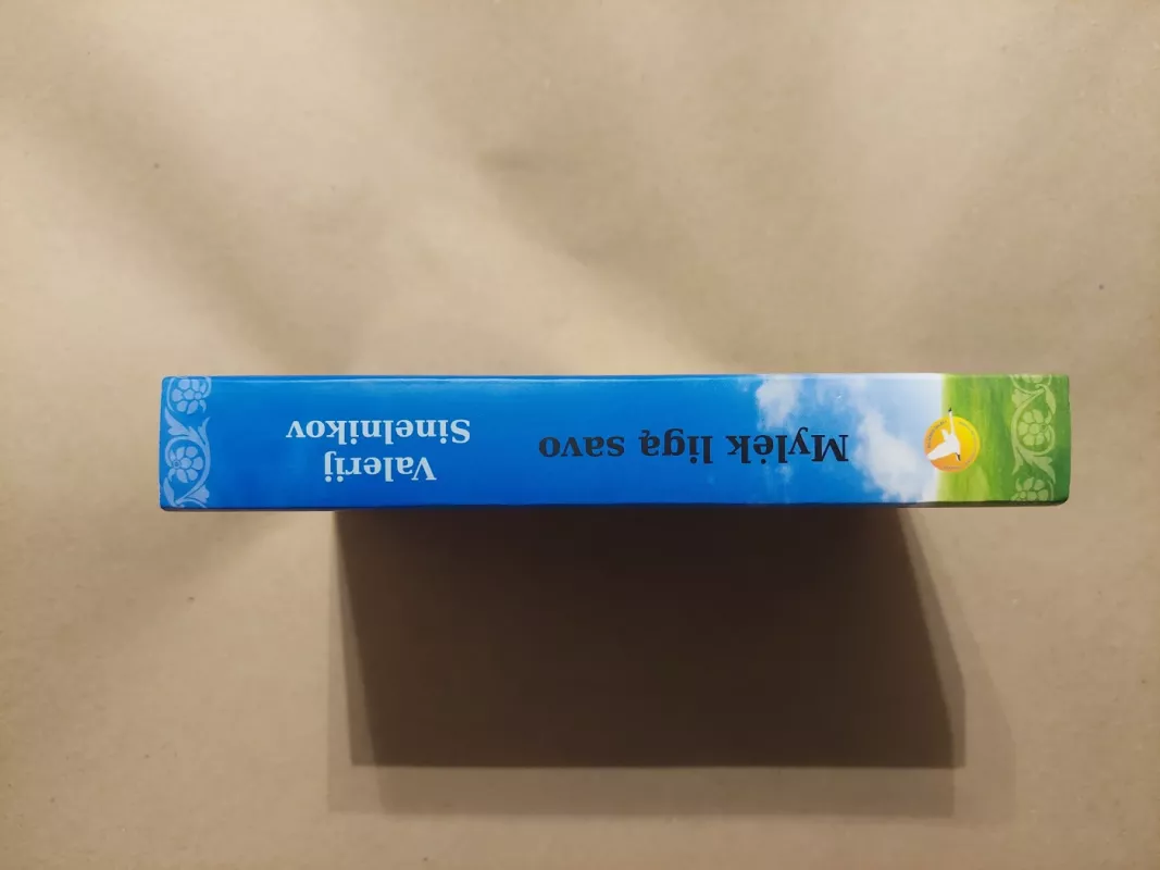 MYLĖK LIGĄ SAVO - Valerij Sinelnikov, knyga 6