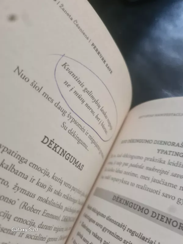 PERKURK SAVE, transformacinė saviugdos programa - Žaneta Čėsnienė, knyga 6