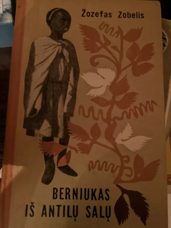 Berniukas iš Antilų salų - Zobelis Žozefas, knyga 2