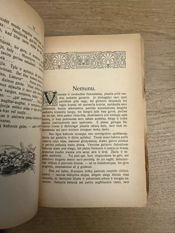 Jono Biliūno raštai. Paveikslai apysakos ir eilės - Jonas Biliūnas, knyga 5