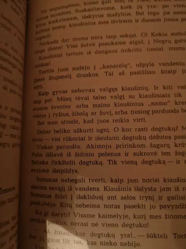 Berniukas iš Antilų salų - Zobelis Žozefas, knyga 5