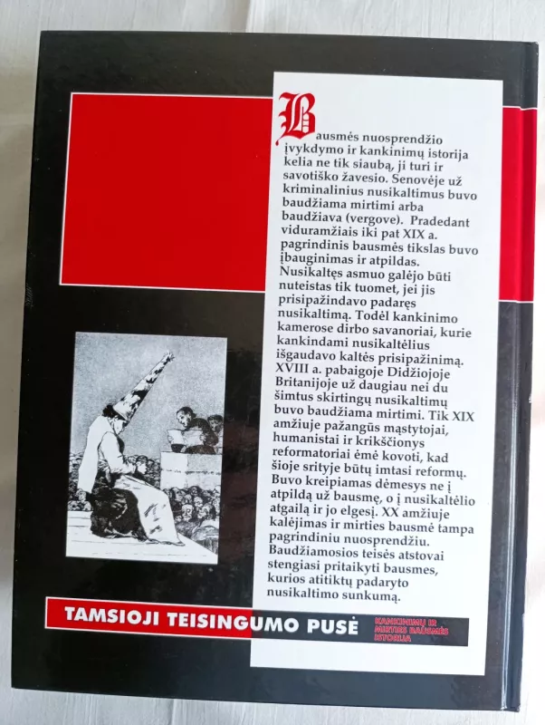 Tamsioji teisingumo pusė - Jaroslavas Banevičius, knyga 2