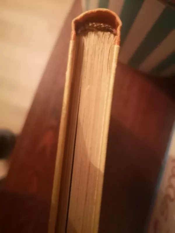 Berniukas iš Antilų salų - Zobelis Žozefas, knyga 6