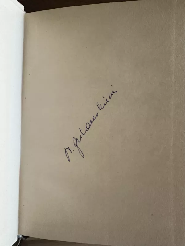 Estetika (4 tomai) - Georg Wilhelm Friedrich Hegel, knyga 4