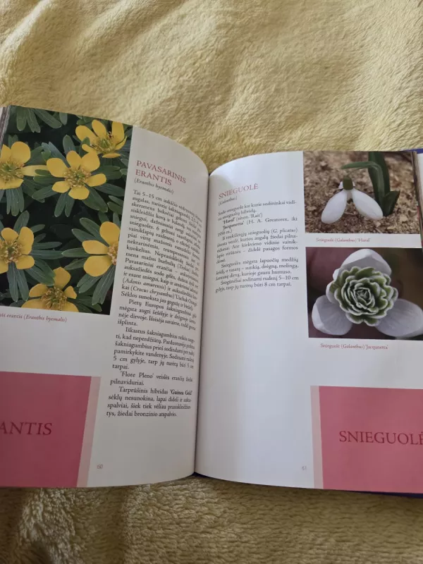 Svogūninės gėlės - Lina Lankauskaitė, Lia  Virkus, knyga 4