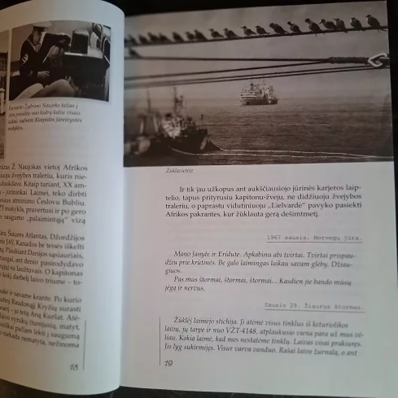 Laiškai iš jūros. Jūrų kapitono Naujoko žvejybos istorija - Naujokas Žydrūnas, Adelė Žičkuvienė, knyga 3