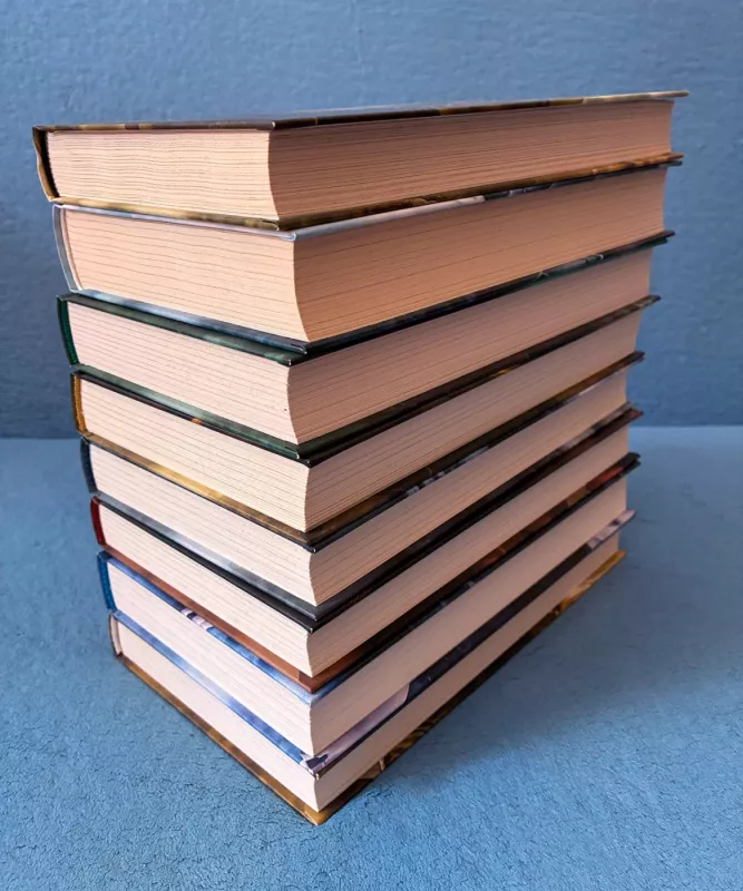 Raganius komplektas: Paskutinis noras, Likimo kalavijas, Elfų kraujas, Paniekos metas, Krikštas ugnimi, Kregždės bokštas, Ežero valdovė, Audrų sezonas - Andrzej Sapkowski, knyga 5