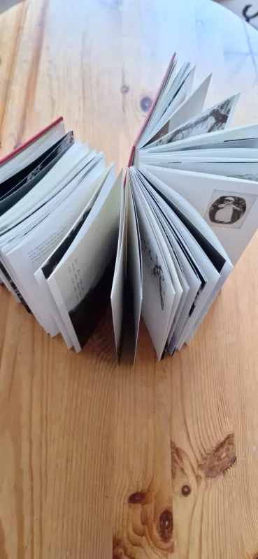 Baltas - Paulius Normantas, knyga 3