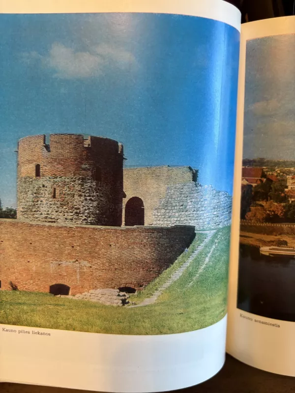 300 kultūros paminklų,1980 m - J. Glemža, knyga 5