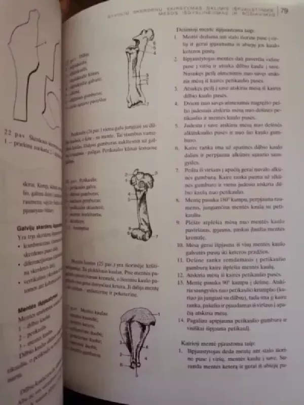 Mėsos gaminių technologija - Ramunė Gečienė, Viktorija  Baltuškienė, knyga 5