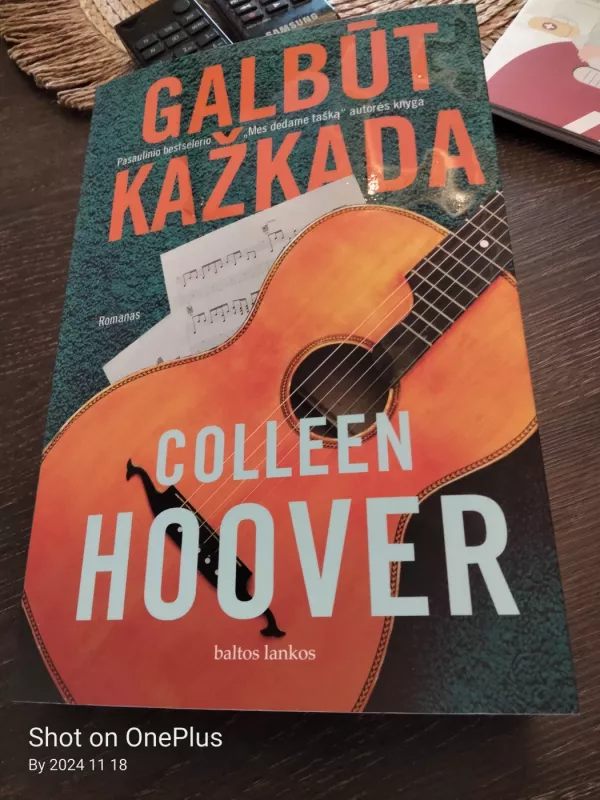 Galbūt kažkada - Collen Hoover, knyga 2
