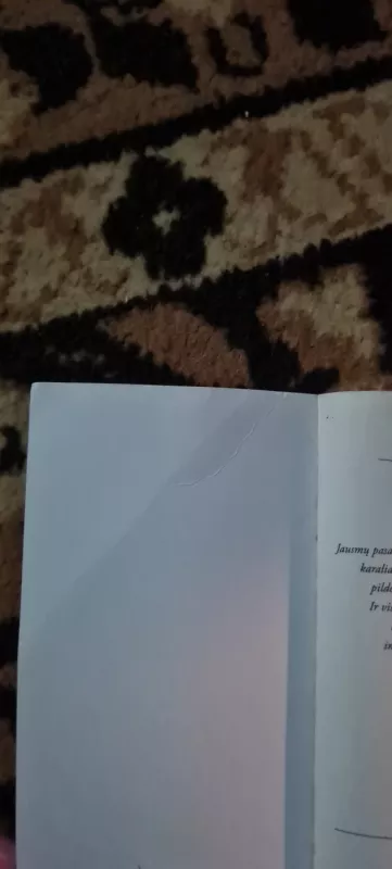 Dviejų šokis. Nesutramdomoji - Nora Roberts, knyga 4