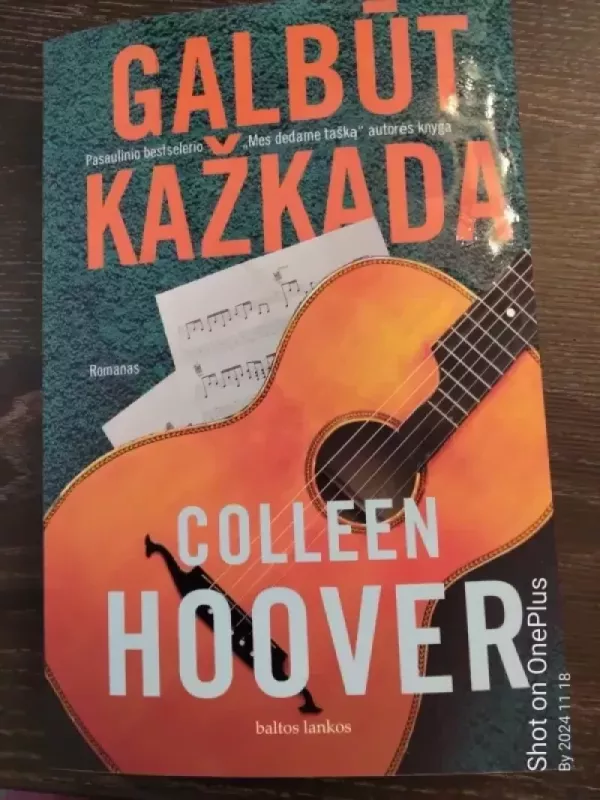 Galbūt kažkada - Collen Hoover, knyga 3