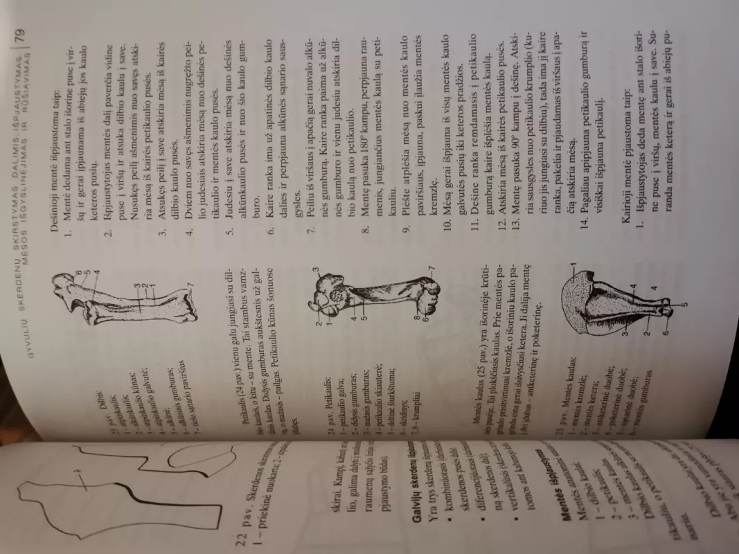 Mėsos gaminių technologija - Ramunė Gečienė, Viktorija  Baltuškienė, knyga 4