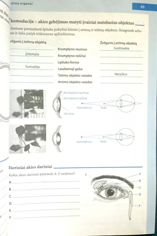 Žmogus. Biologijos užduočių sąsiuvinis 9 klasei - Autorių Kolektyvas, knyga 4