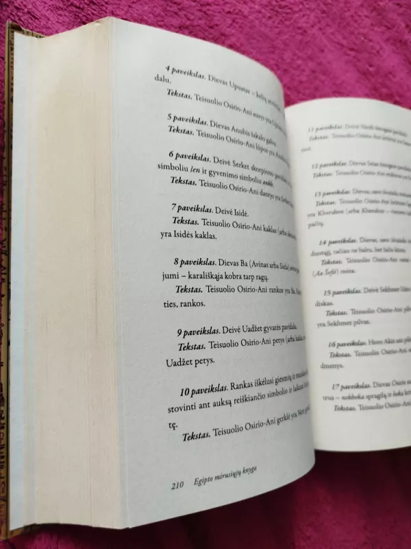 EGIPTO MIRUSIŲJŲ KNYGA - Autorių Kolektyvas, knyga 4