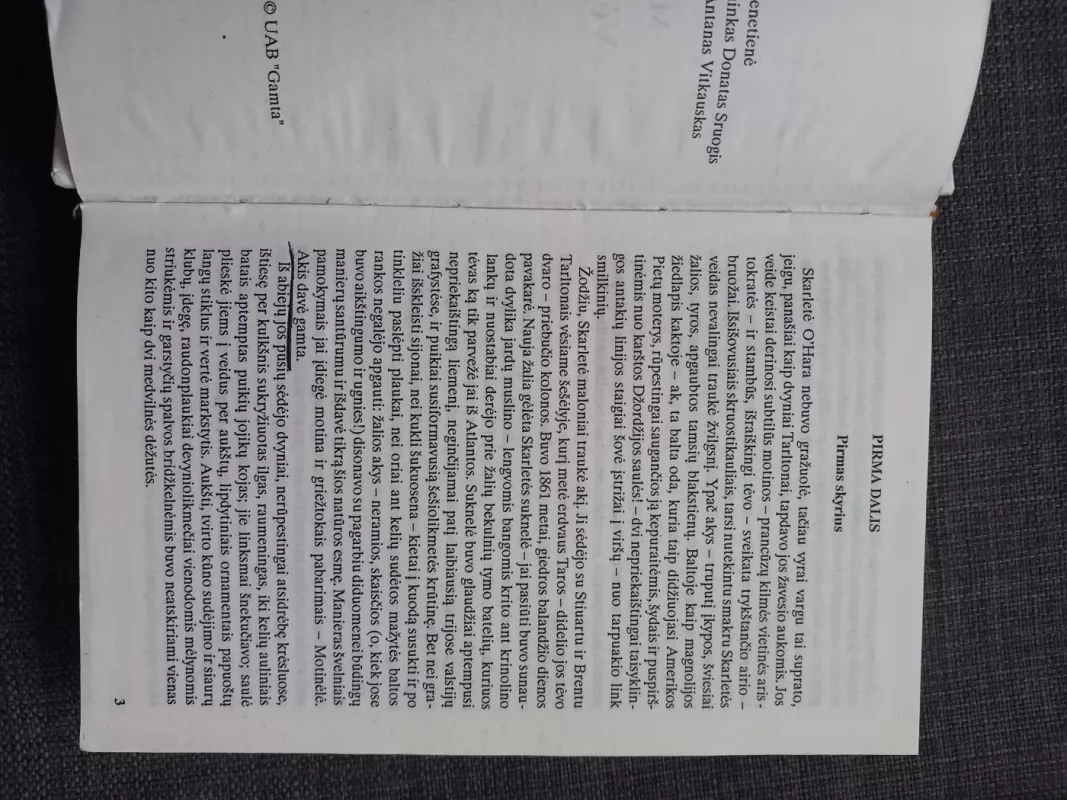 Vėjo nublokšti (I dalis) - Margaret Mitčel, knyga 4