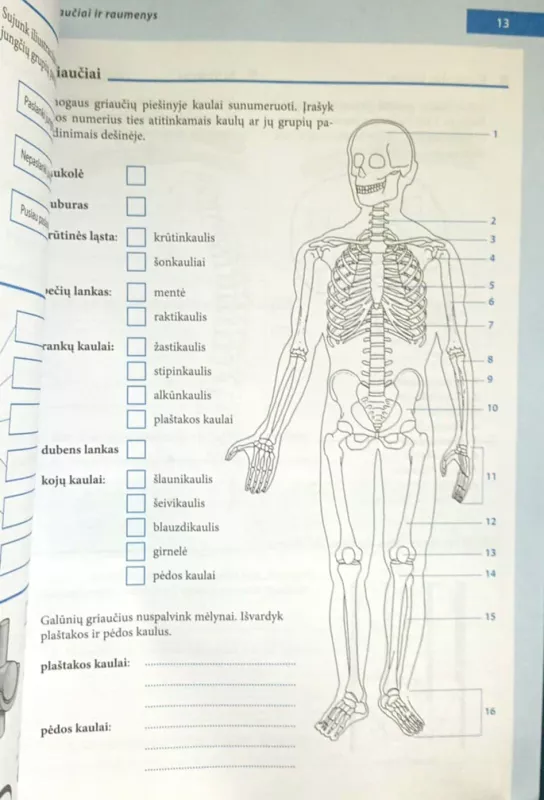 Žmogus. Biologijos užduočių sąsiuvinis 9 klasei - Autorių Kolektyvas, knyga 5