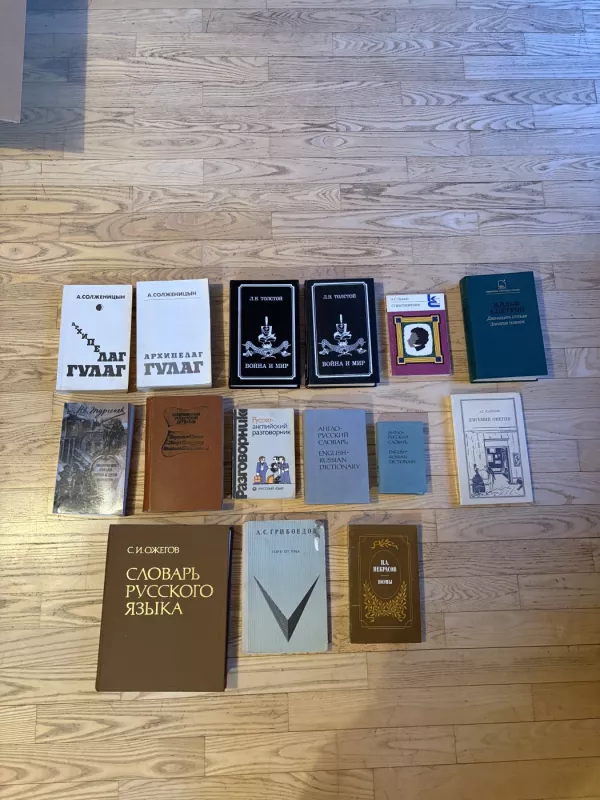 Karas ir taika - Levas Tolstojus, L. Tolstojus, knyga 2