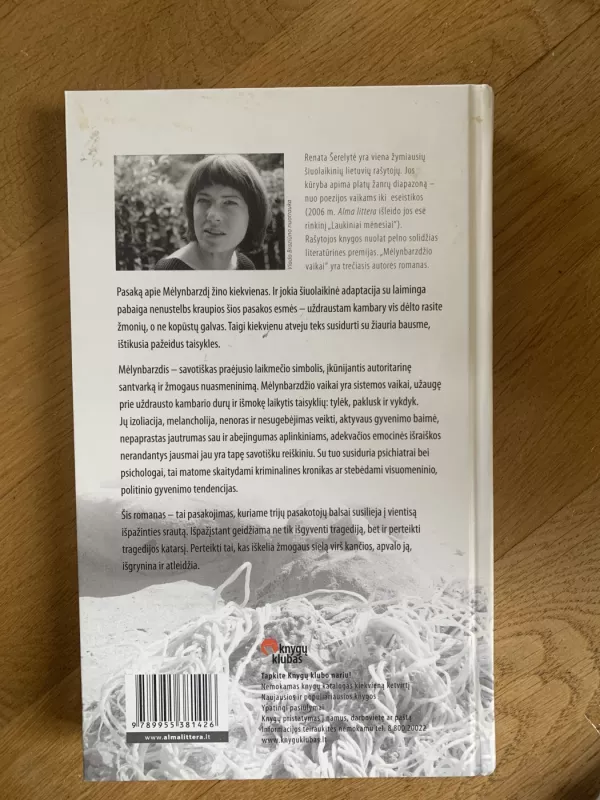 Mėlynbarzdžio vaikai - Renata Šerelytė, knyga 3