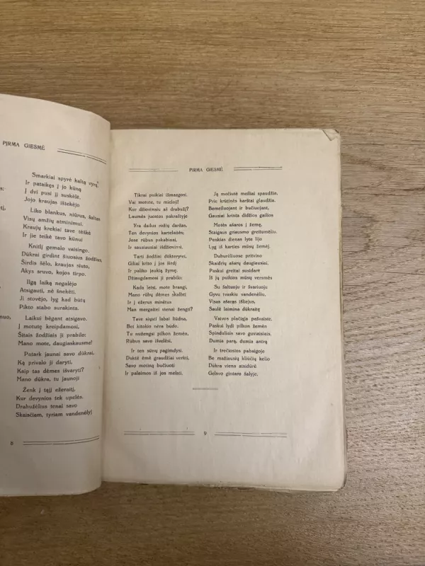 Auštras - K.J. Skruodys, knyga 4