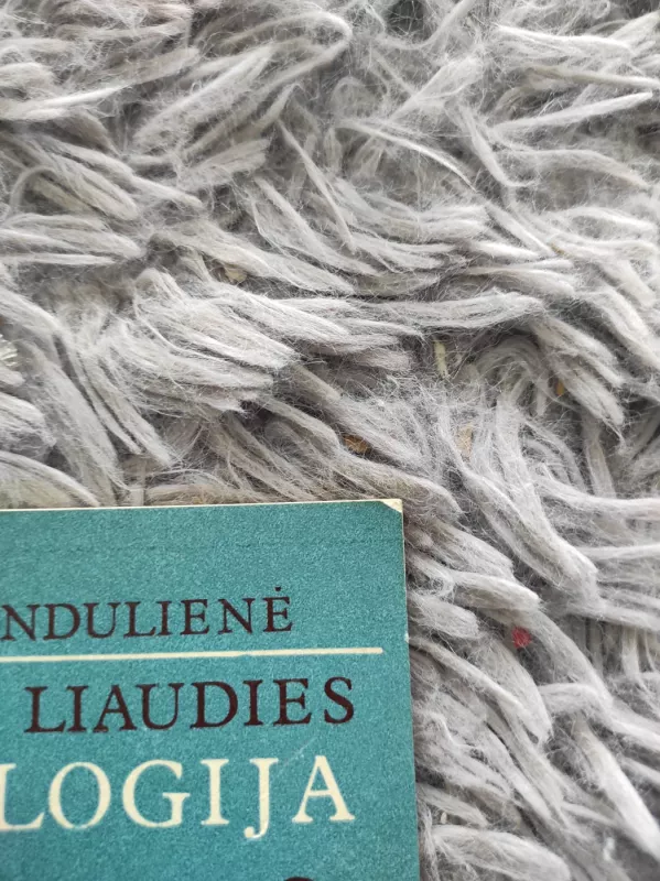 Lietuvių liaudies kosmologija - Pranė Dundulienė, knyga 4