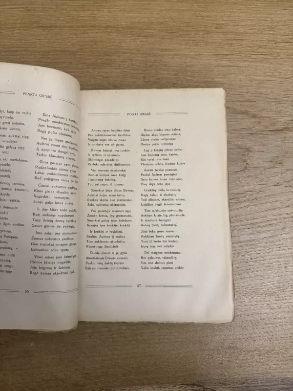 Auštras - K.J. Skruodys, knyga 6