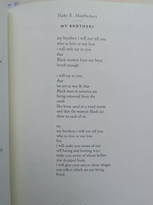 In search of color everywhere: a collection of african-american poetry - Autorių Kolektyvas, knyga 6