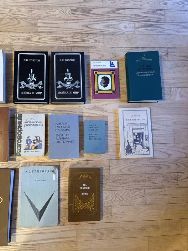 Karas ir taika - Levas Tolstojus, L. Tolstojus, knyga 4