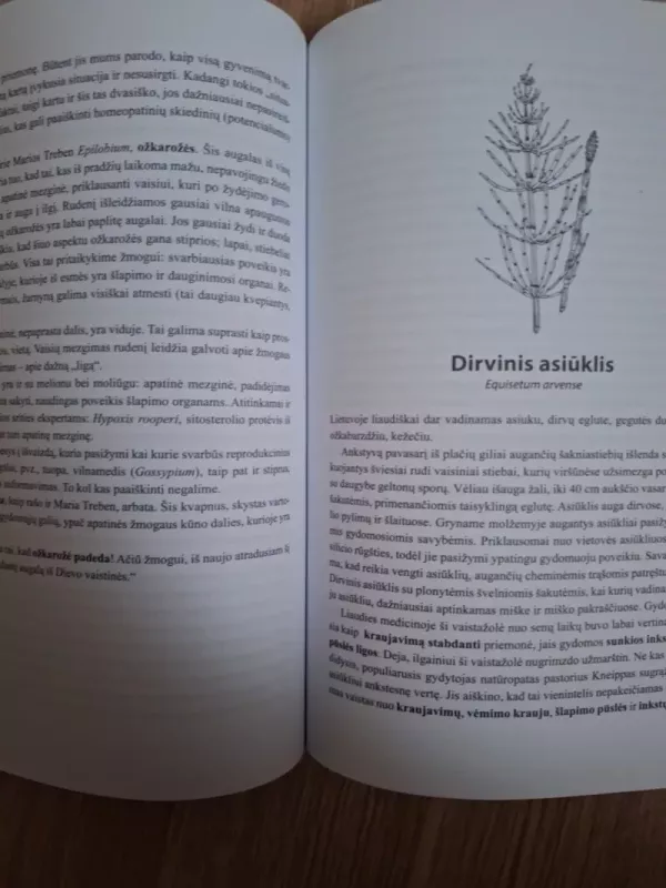 Sveikata iš Dievo vaistinės - Maria Treben, knyga 6