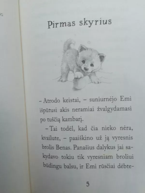 Pamiršta kalytė Rina - Holly Webb, knyga 5