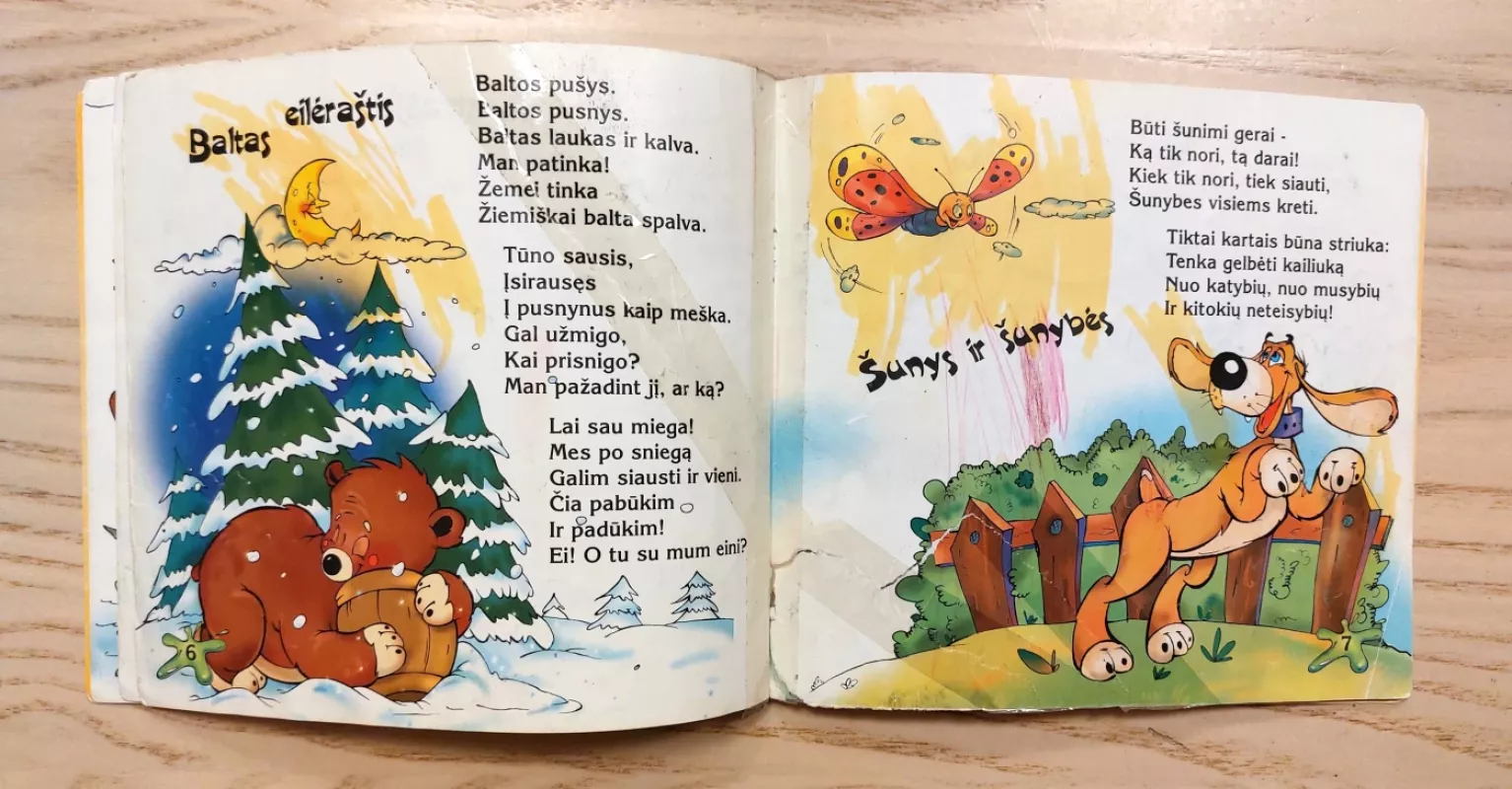 Maziliauskienė Dienų spalvos - Birutė Masiliauskienė, knyga 6