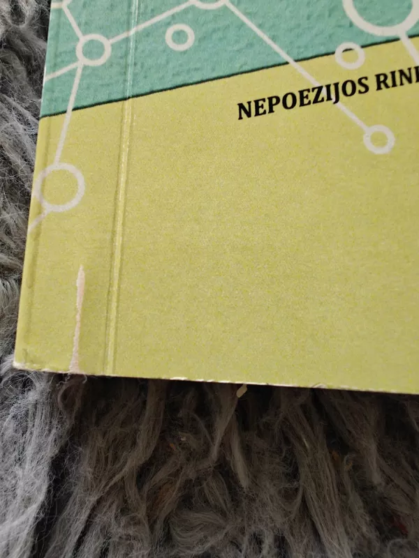 Raidės man kaip žvaigždės - Lukas Patrauskas, knyga 3