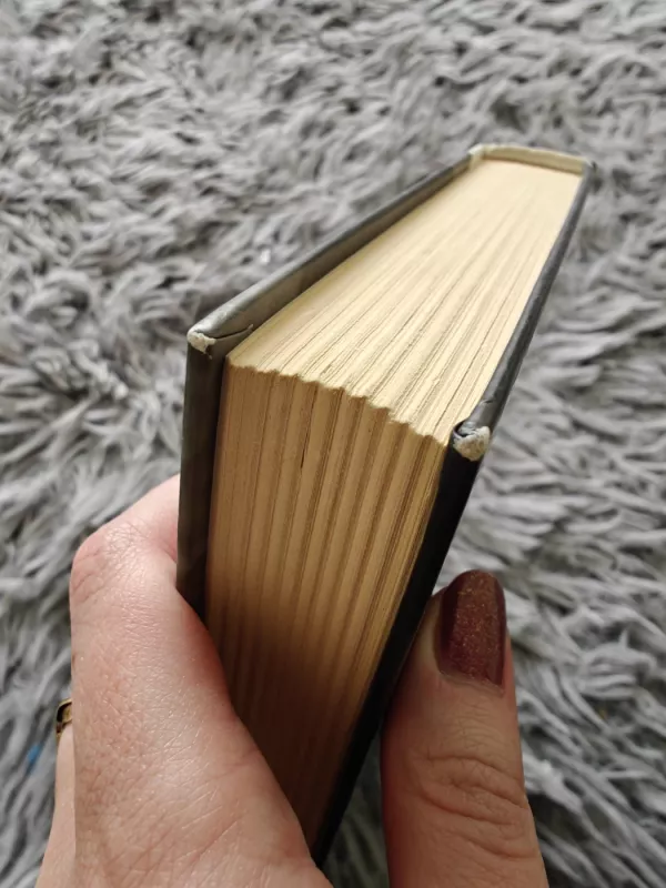 Nuostabioji draugė - Elena Ferrante, knyga 6