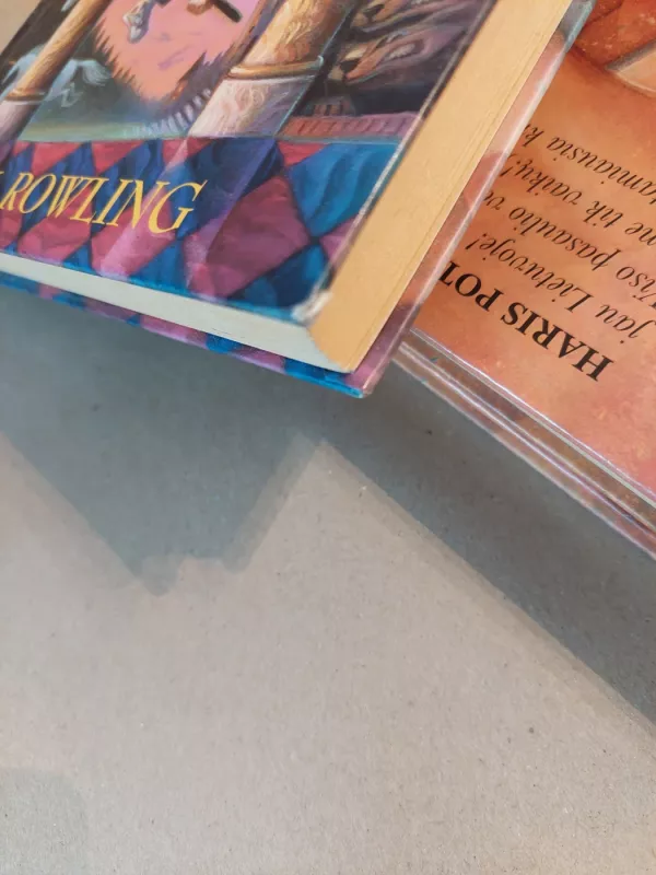 Haris Poteris ir išminties akmuo - Rowling J. K., knyga 4