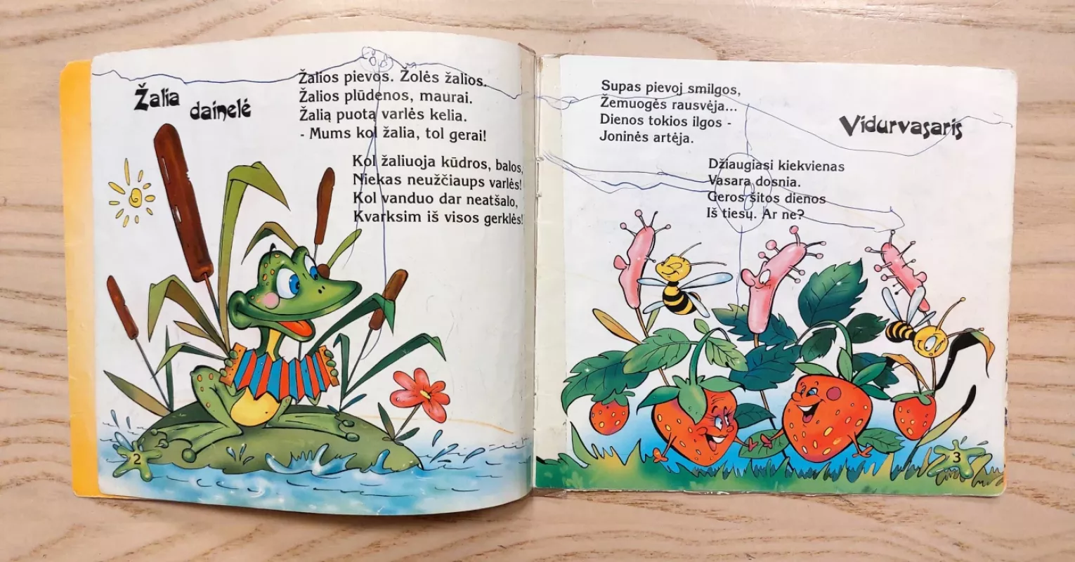 Maziliauskienė Dienų spalvos - Birutė Masiliauskienė, knyga 4