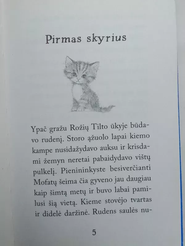 Pasiklydusi sniege - Holly Webb, knyga 6