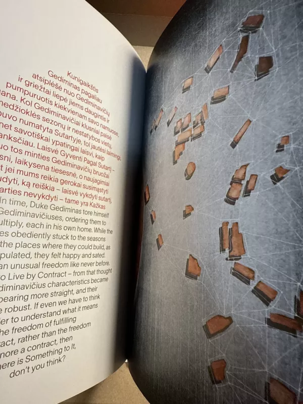 Įstabusis Vilniaus miestas - Soveiga Masteikaitė, knyga 4