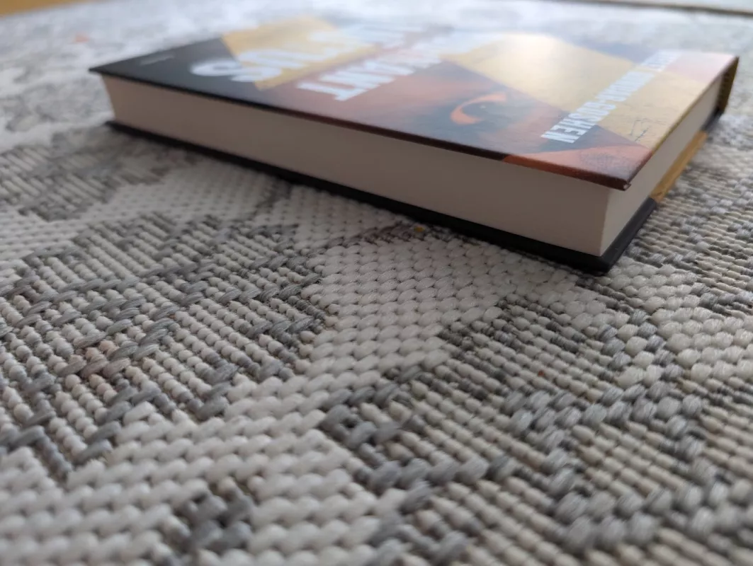 Budinant liūtus - Ayelet Gundar-Goshen, knyga 5