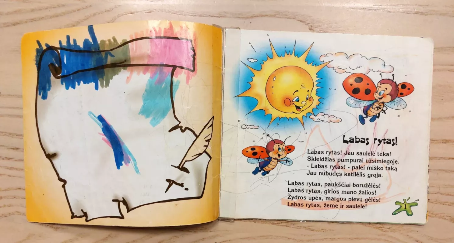 Maziliauskienė Dienų spalvos - Birutė Masiliauskienė, knyga 3