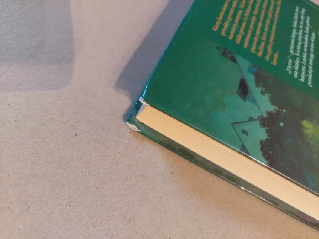 Klanų kariai Į tyrus - Erin Hunter, knyga 5