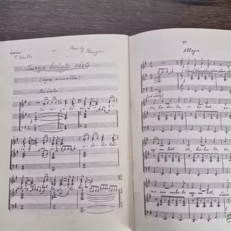 Vakaras šile. Dainos vokaliniams ansambliams - Autorių Kolektyvas, knyga 4